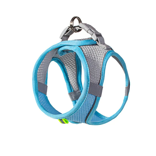 Puppy Harness Set Dog Accessories Adjustable Puppy and Cat Harness