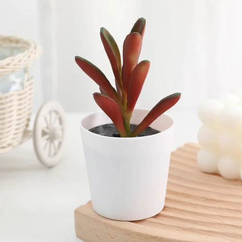 Artificial Succulent Bonsai Plants Simulation Succulents Mini
