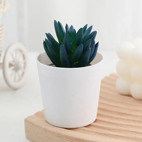 Artificial Succulent Bonsai Plants Simulation Succulents Mini
