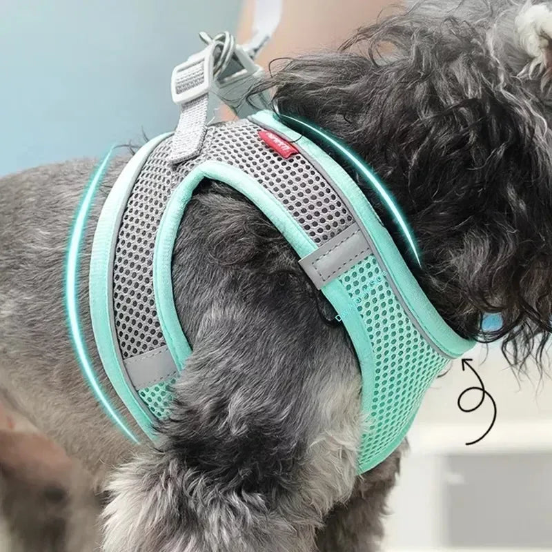 Puppy Harness Set Dog Accessories Adjustable Puppy and Cat Harness