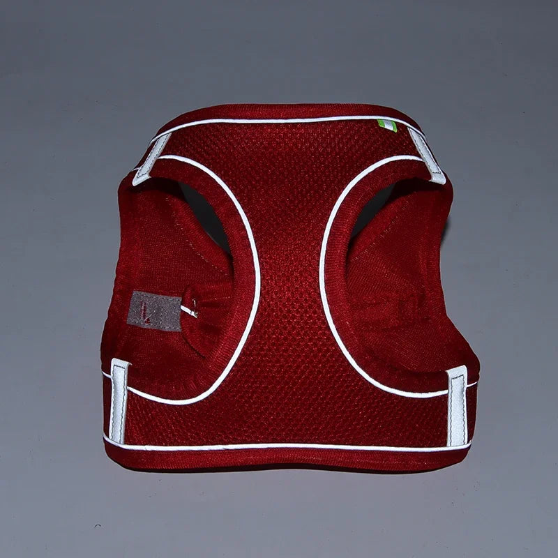 Puppy Harness Set Dog Accessories Adjustable Puppy and Cat Harness