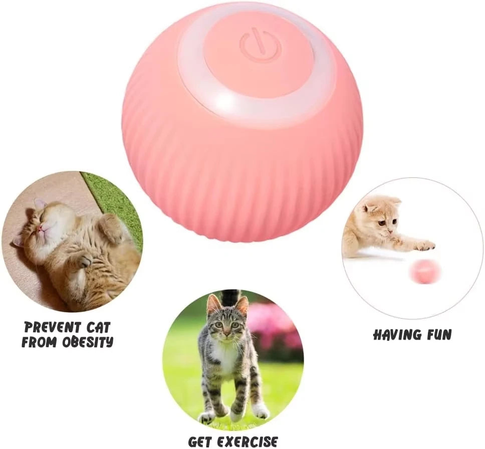 Cat Interactive Ball Smart Cat Toys Indoor Automatic Rolling Magic