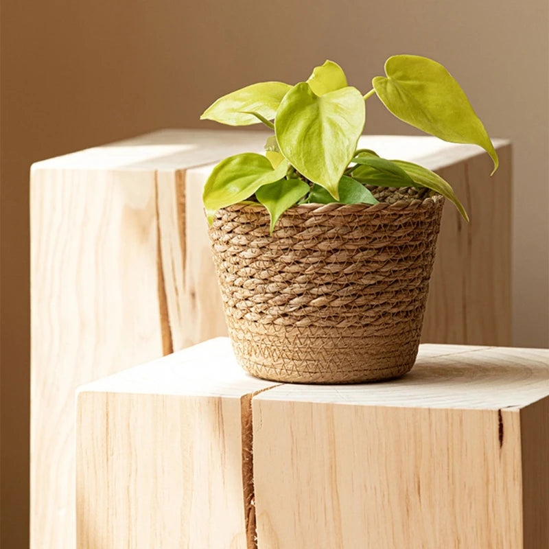 Straw Weaving Plant Pots Containers Hand Woven Plant Pot Cover