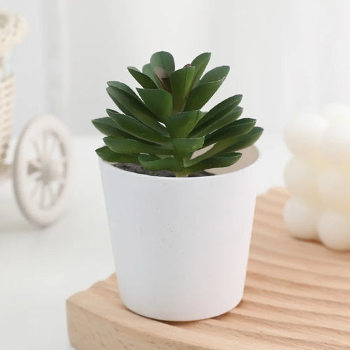 Artificial Succulent Bonsai Plants Simulation Succulents Mini
