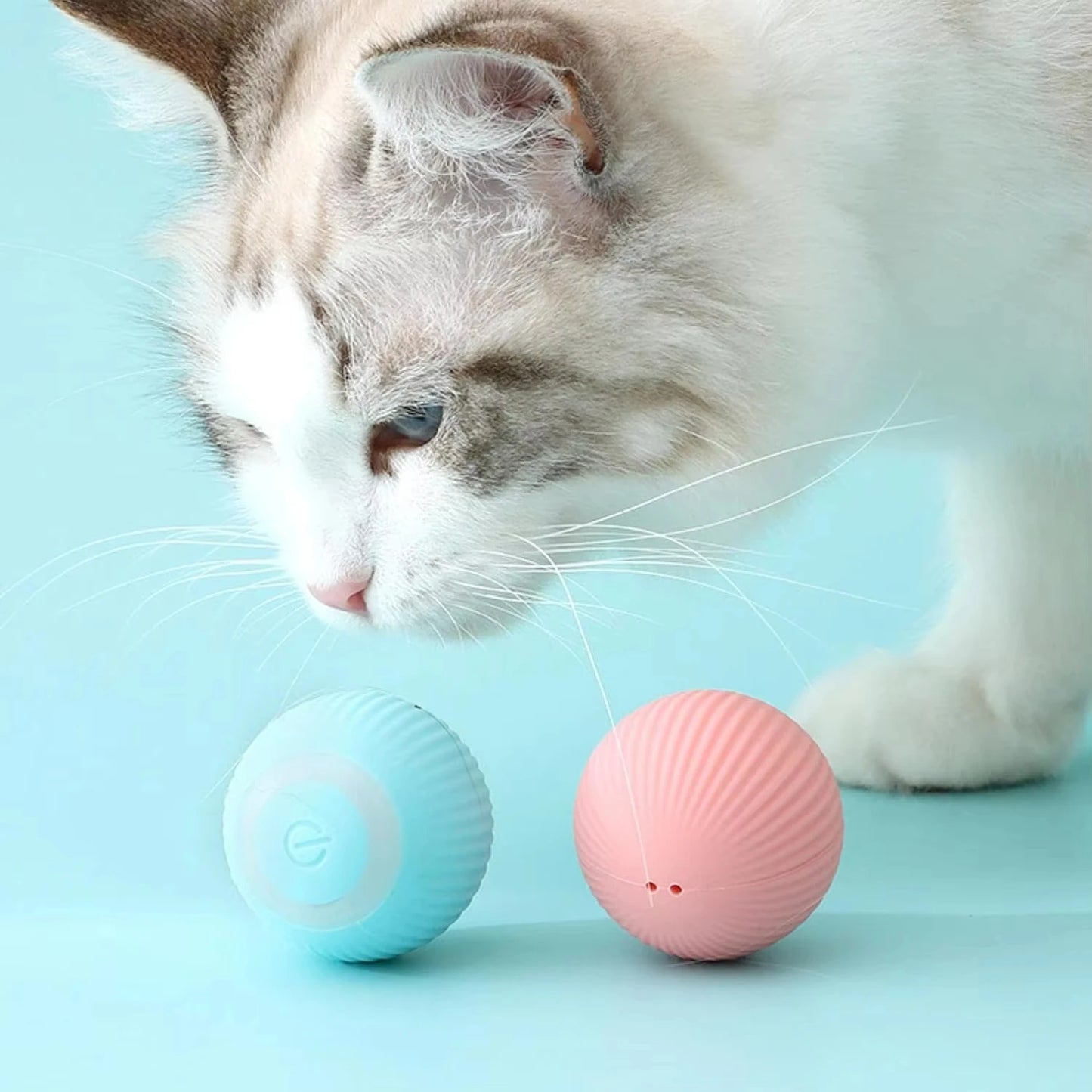 Cat Interactive Ball Smart Cat Toys Indoor Automatic Rolling Magic