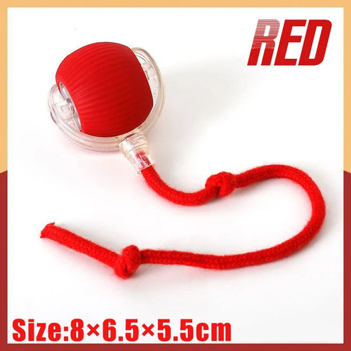 Electronic Interactive Pet Toy Smart Dog Toy Ball Moving Ball USB