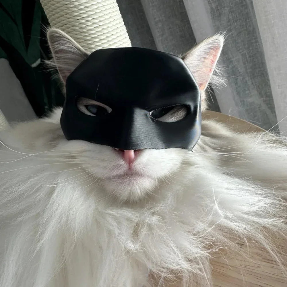 Cat Bat Cool Man Mask Cat Avenger Mask Matte Cute Bat Mask Superhero