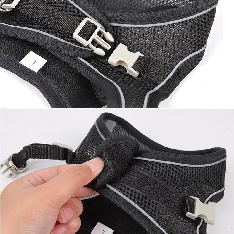 Puppy Harness Set Dog Accessories Adjustable Puppy and Cat Harness