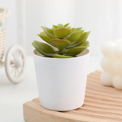 Artificial Succulent Bonsai Plants Simulation Succulents Mini