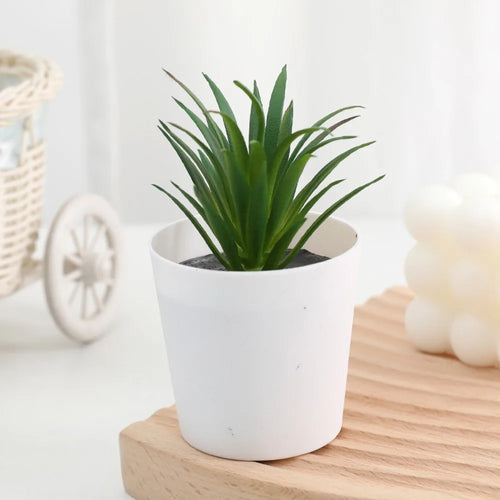 Artificial Succulent Bonsai Plants Simulation Succulents Mini