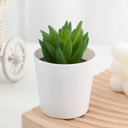 Artificial Succulent Bonsai Plants Simulation Succulents Mini