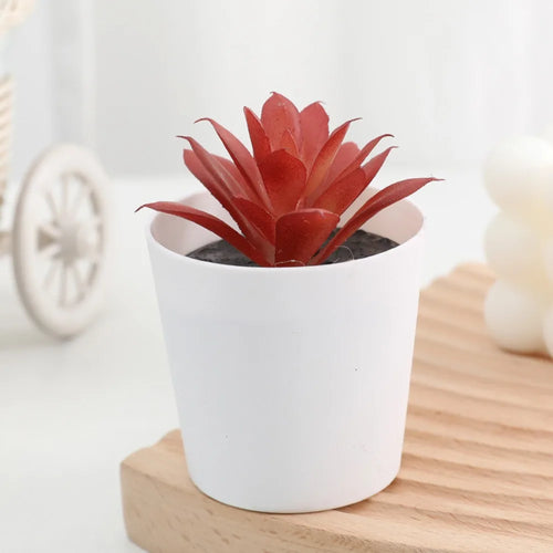 Artificial Succulent Bonsai Plants Simulation Succulents Mini