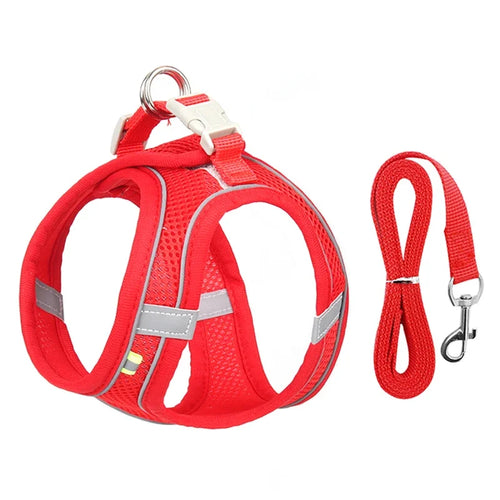 Puppy Harness Set Dog Accessories Adjustable Puppy and Cat Harness