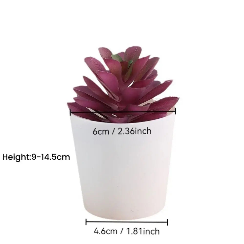 Artificial Succulent Bonsai Plants Simulation Succulents Mini