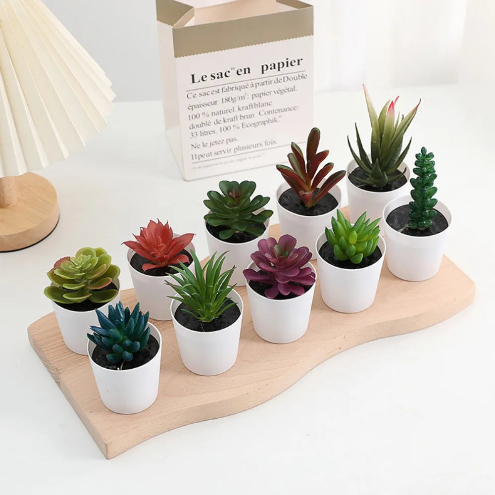 Artificial Succulent Bonsai Plants Simulation Succulents Mini