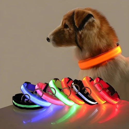 FREE LED Dog Collar
