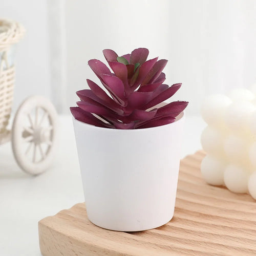 Artificial Succulent Bonsai Plants Simulation Succulents Mini