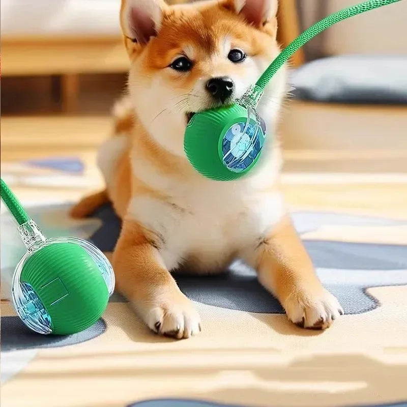 Electronic Interactive Pet Toy Smart Dog Toy Ball Moving Ball USB