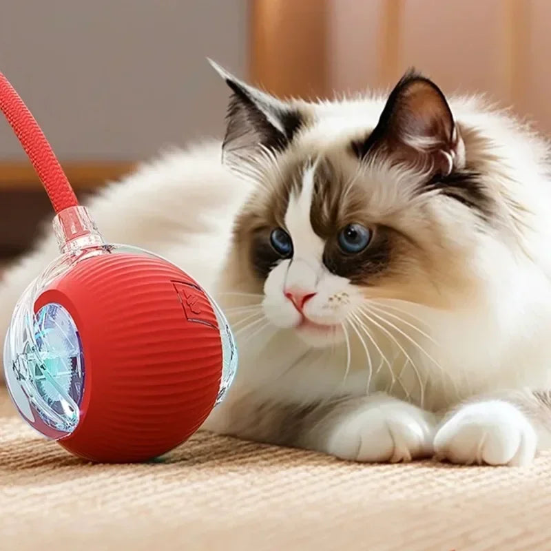 Electronic Interactive Pet Toy Smart Dog Toy Ball Moving Ball USB