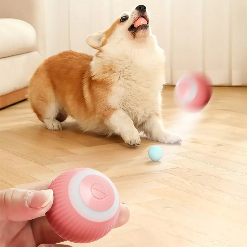 Electric Smart Puppy Ball