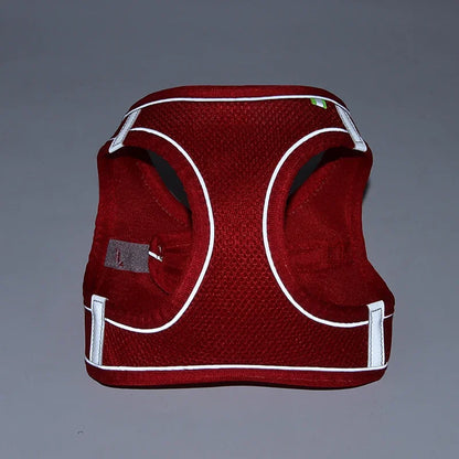 Puppy Harness Set Dog Accessories Adjustable Puppy and Cat Harness