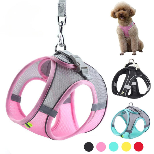 Puppy Harness Set Dog Accessories Adjustable Puppy and Cat Harness