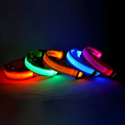 FREE LED Dog Collar
