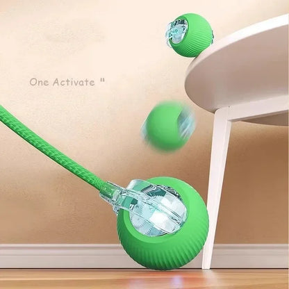 Electronic Interactive Pet Toy Smart Dog Toy Ball Moving Ball USB
