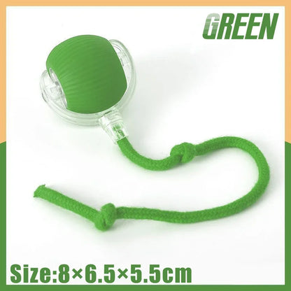 Electronic Interactive Pet Toy Smart Dog Toy Ball Moving Ball USB