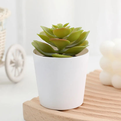 Artificial Succulent Bonsai Plants Simulation Succulents Mini