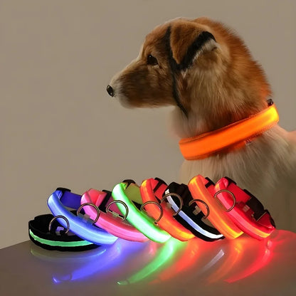 FREE LED Dog Collar