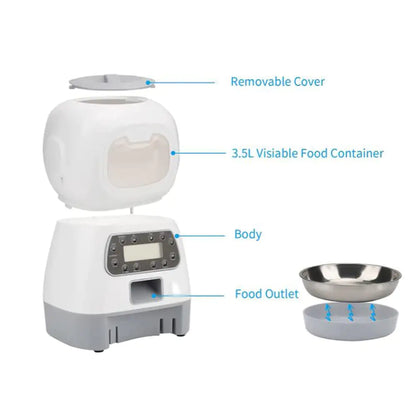 Automatic Dogs & Cats Feeder